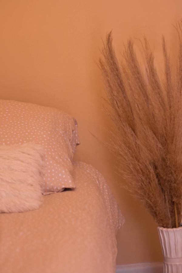 Luxury Studio Apartment Mostar Zewnętrze zdjęcie